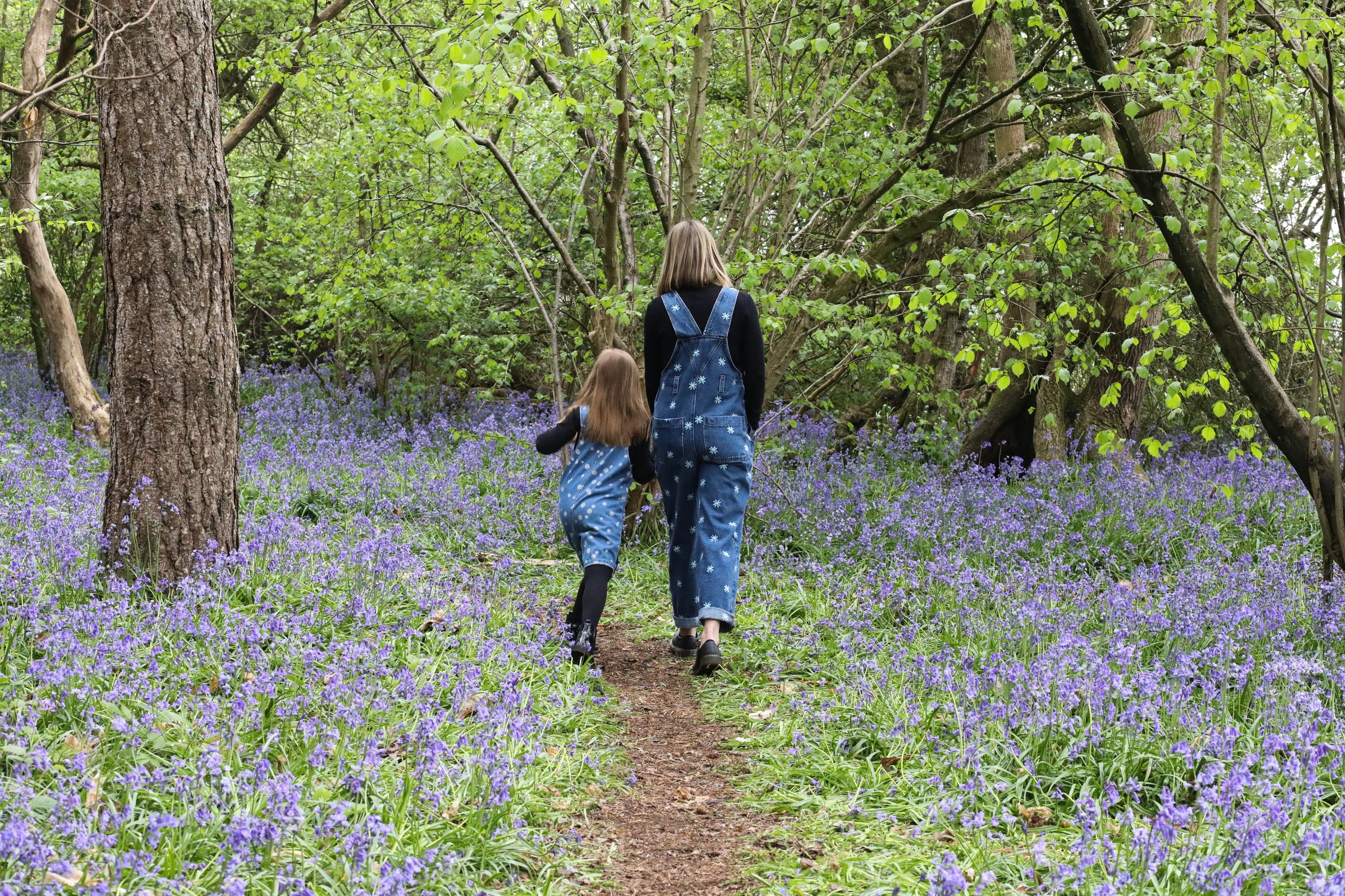 MUM AND DAUGHTER PHOTO SHOOT IN THE BLUEBELLS | BERKSHIRE PORTRAIT SHOOTS14 choice .JPG