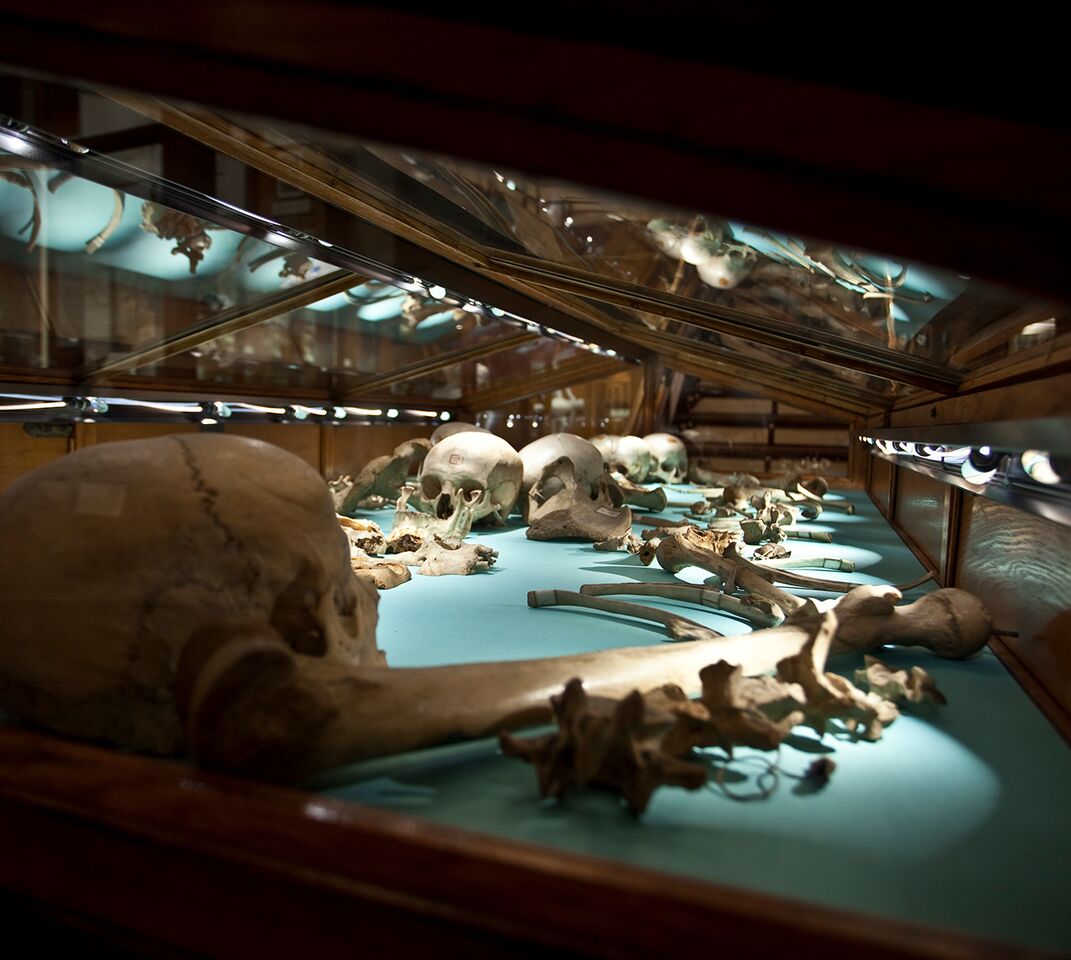ossuary_preview.jpeg