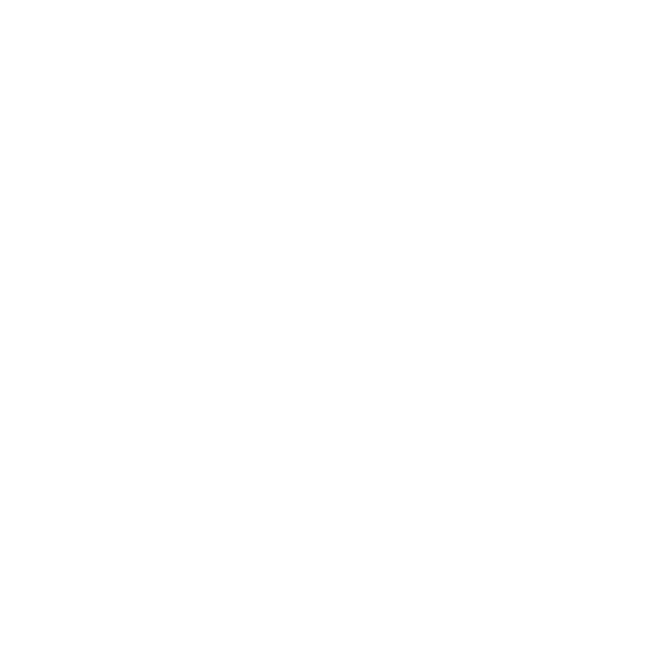 Pi Craft Pizza Henrietta NY