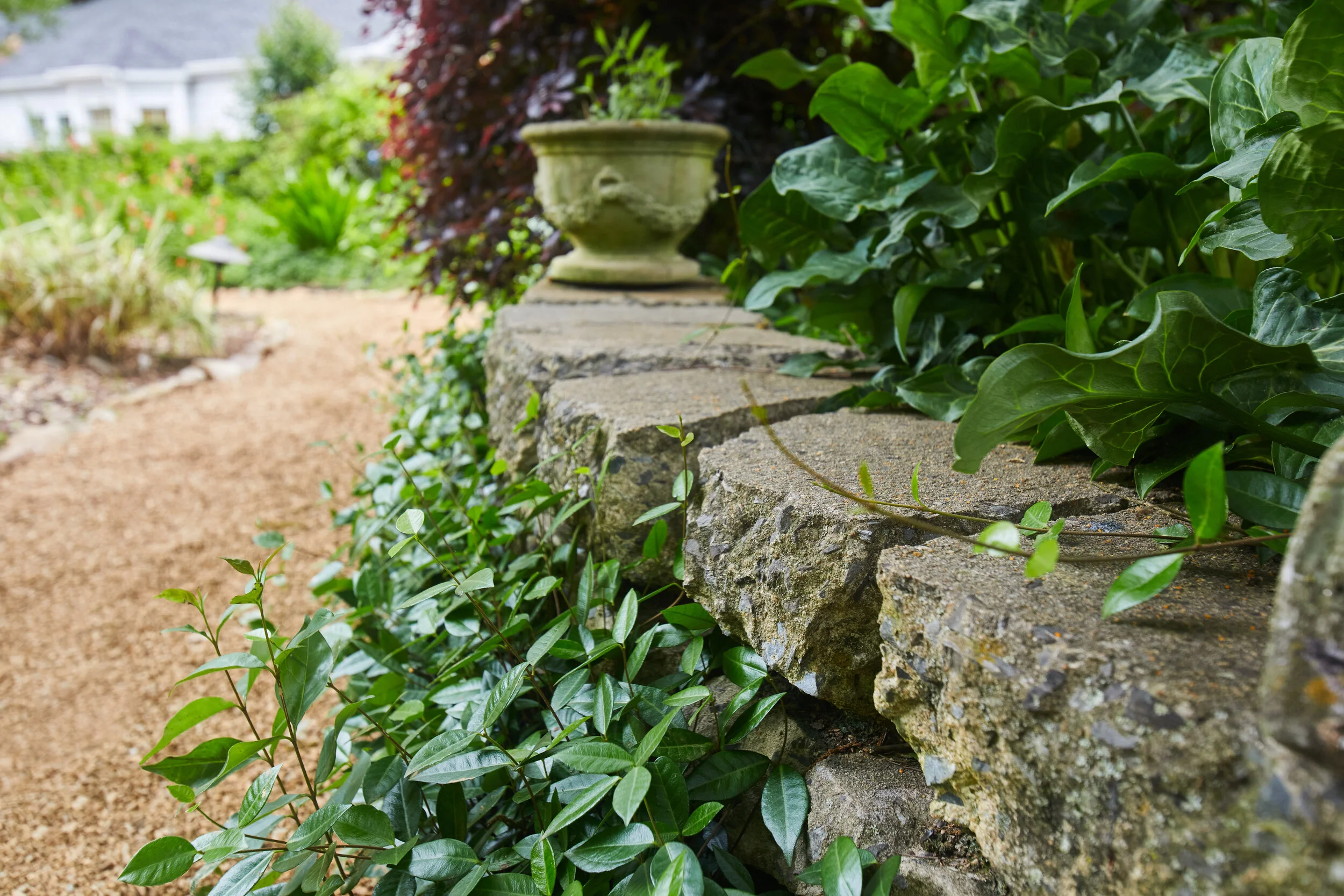 TGR_Myrtle_Patio_ 3.jpg