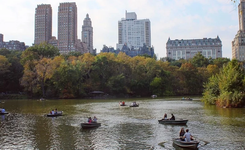 Fall in Central Park