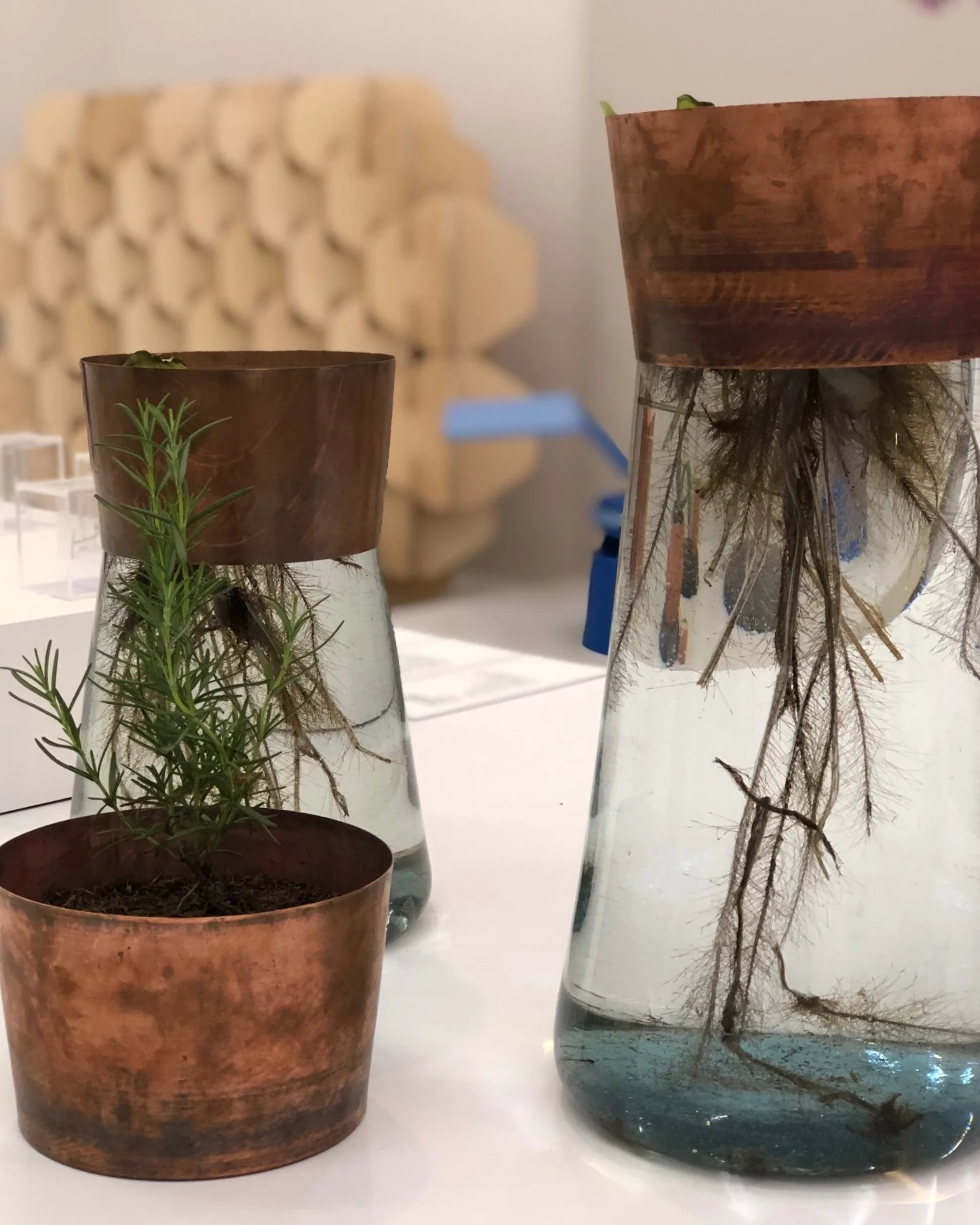 Setting the scene for sustainability at Design Week Mexico