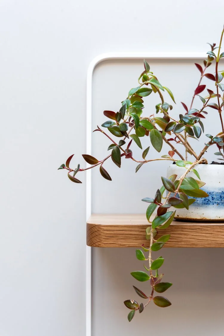 0016-Zak_Rose-Shelving_Shoot-Joe_Tighe+copy.jpg