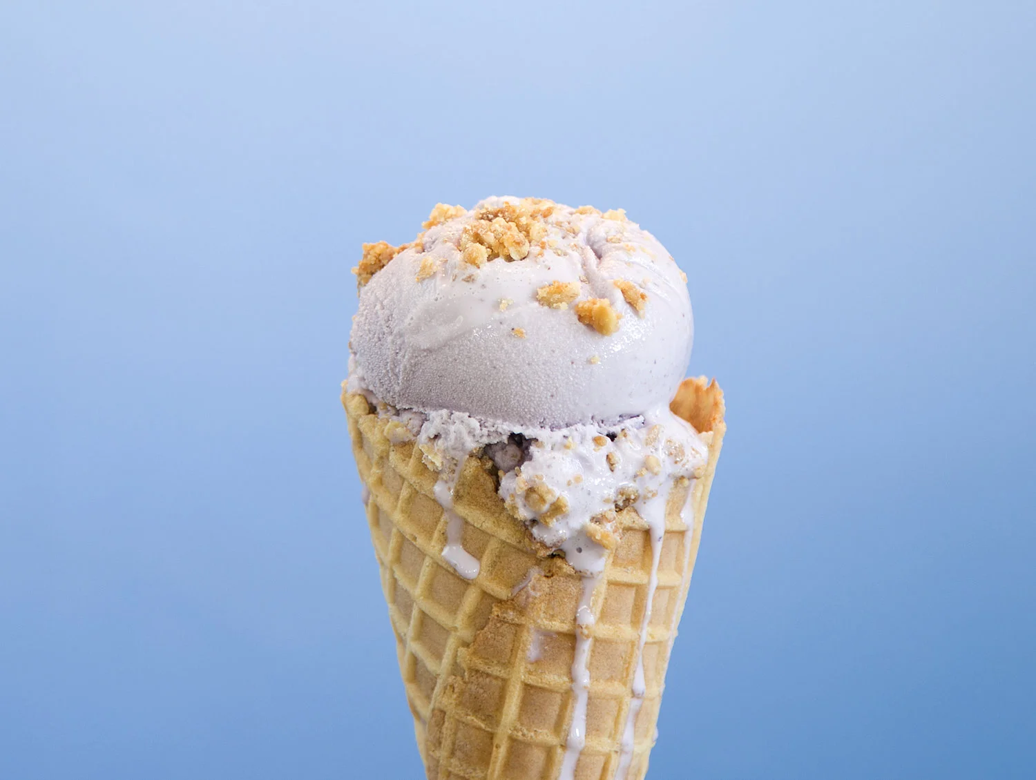 Blueberry-Sourcream-1.jpg