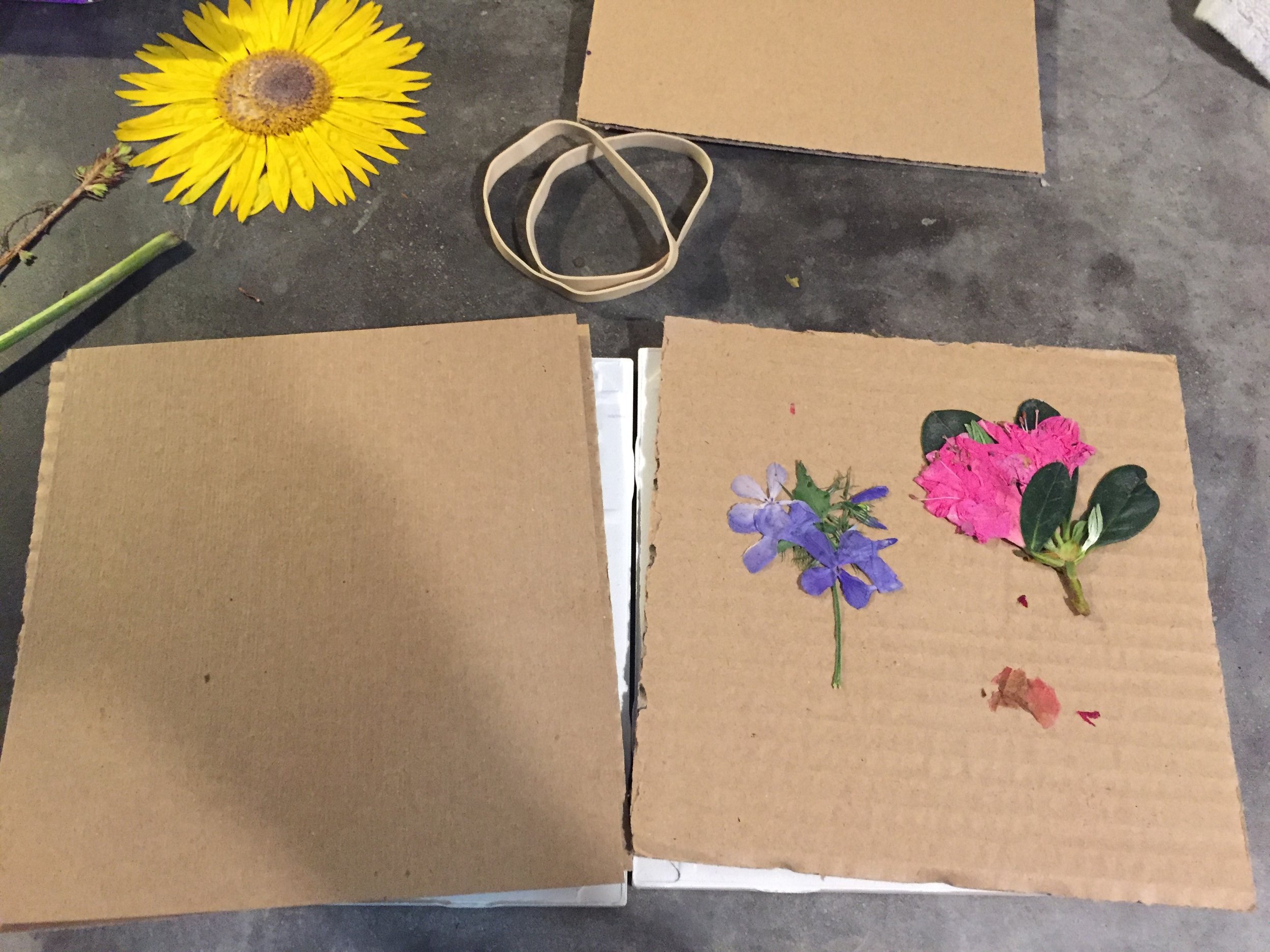 Microwave Flower Press- Quick Flower 