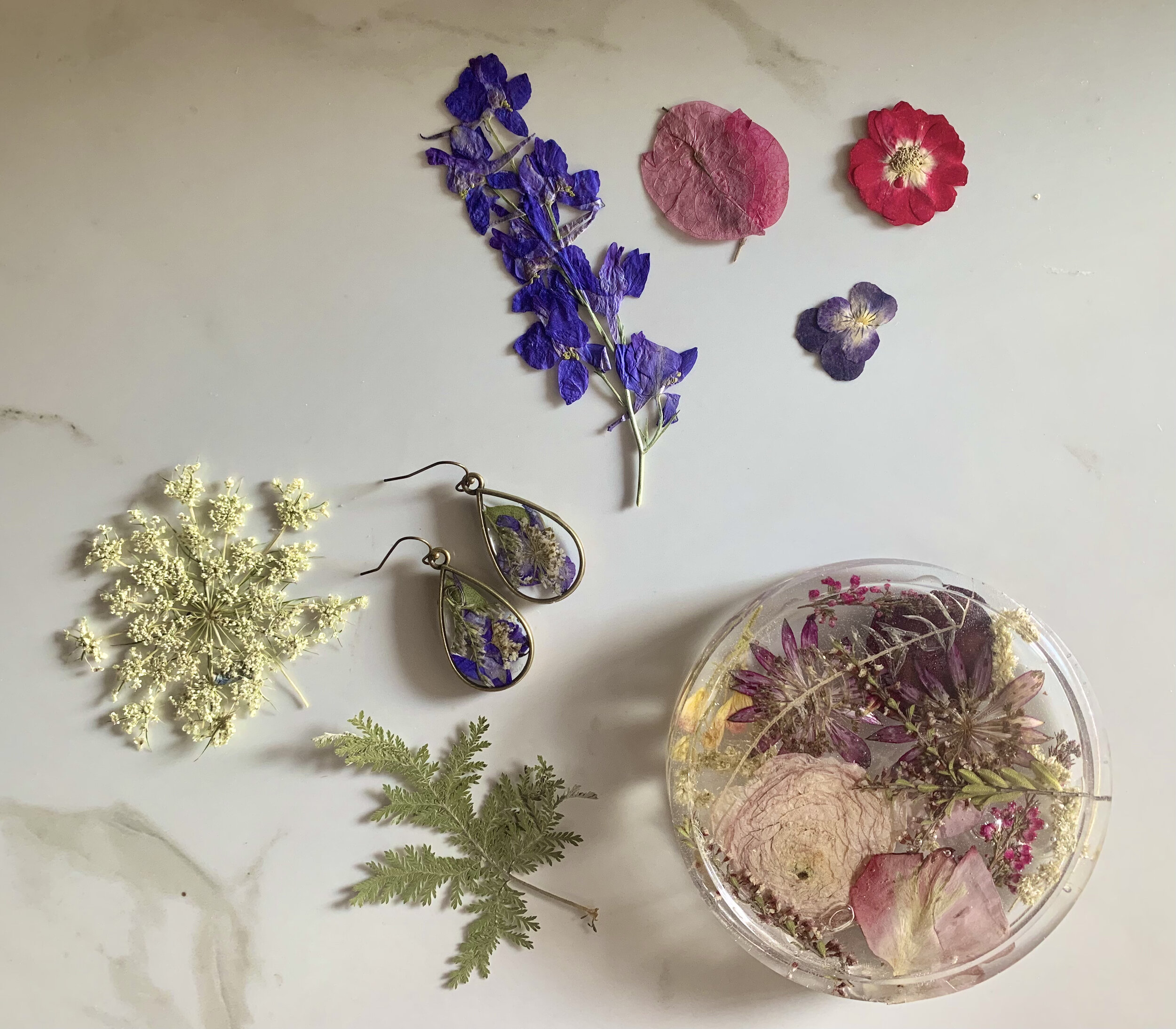 Dried Flower Coasters — Glasshouse Collection- Preserved Flower