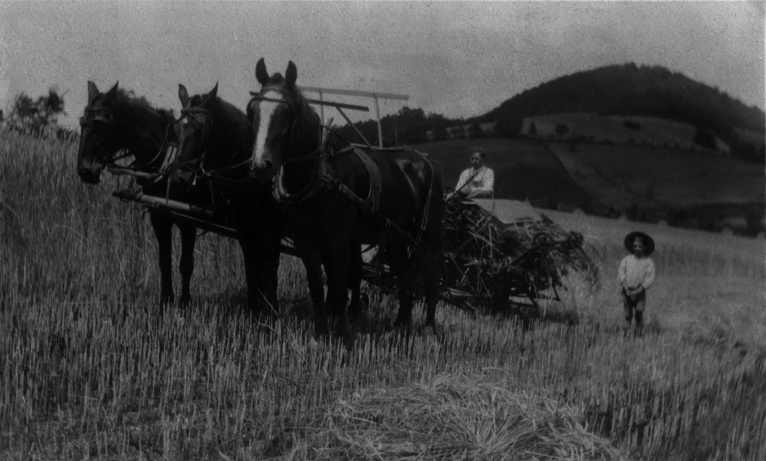 H&OS-2-Threshing.jpg