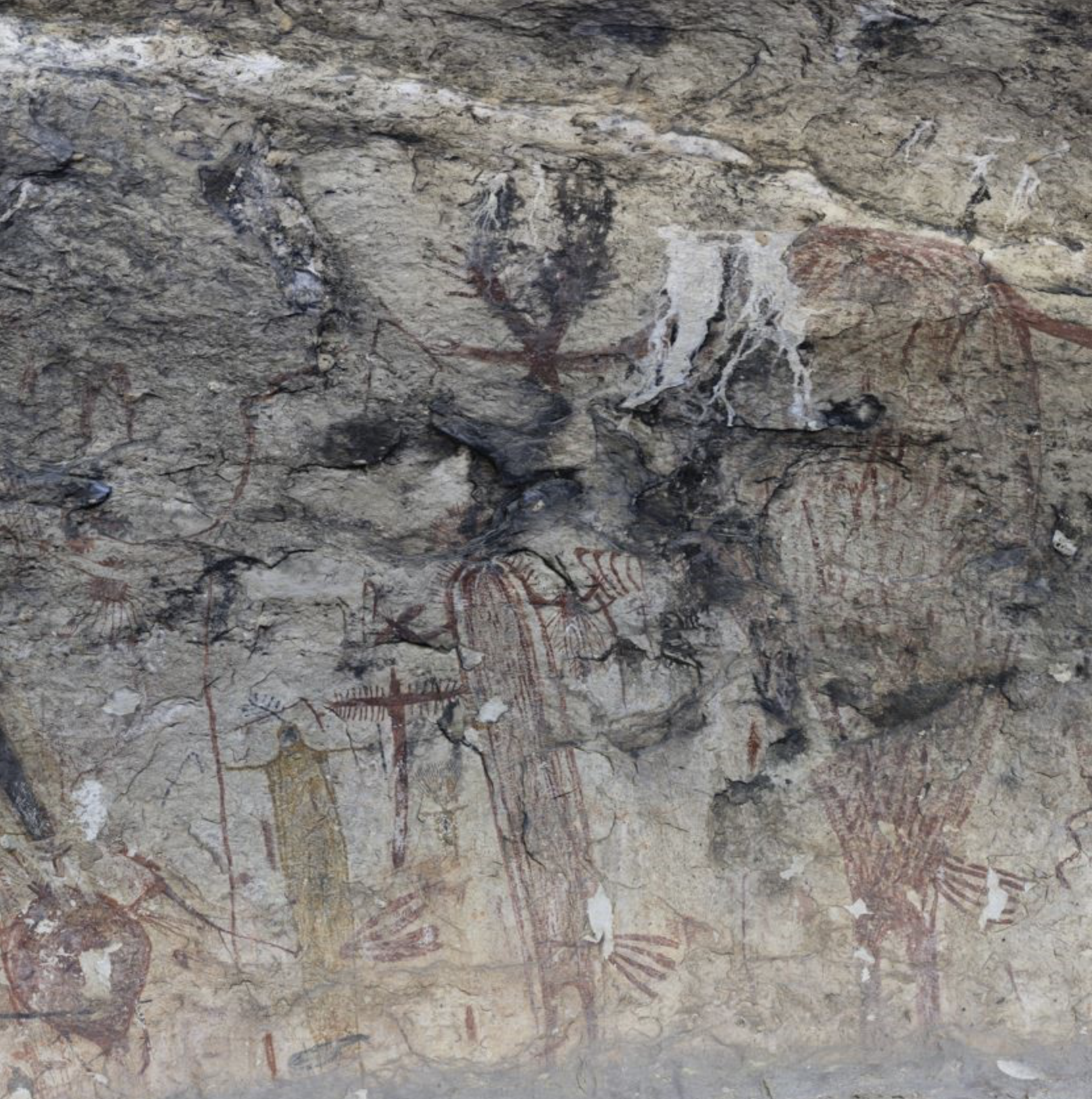 Shumla's Work Featured in National Geographic 