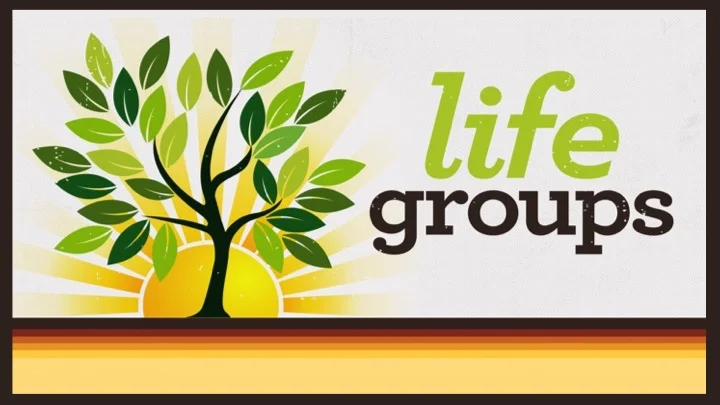 Life Groups 2019.jpg