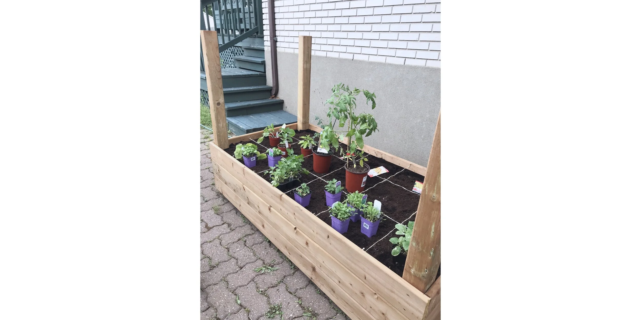 Comment j'ai construit mon potager de légumes 🍅