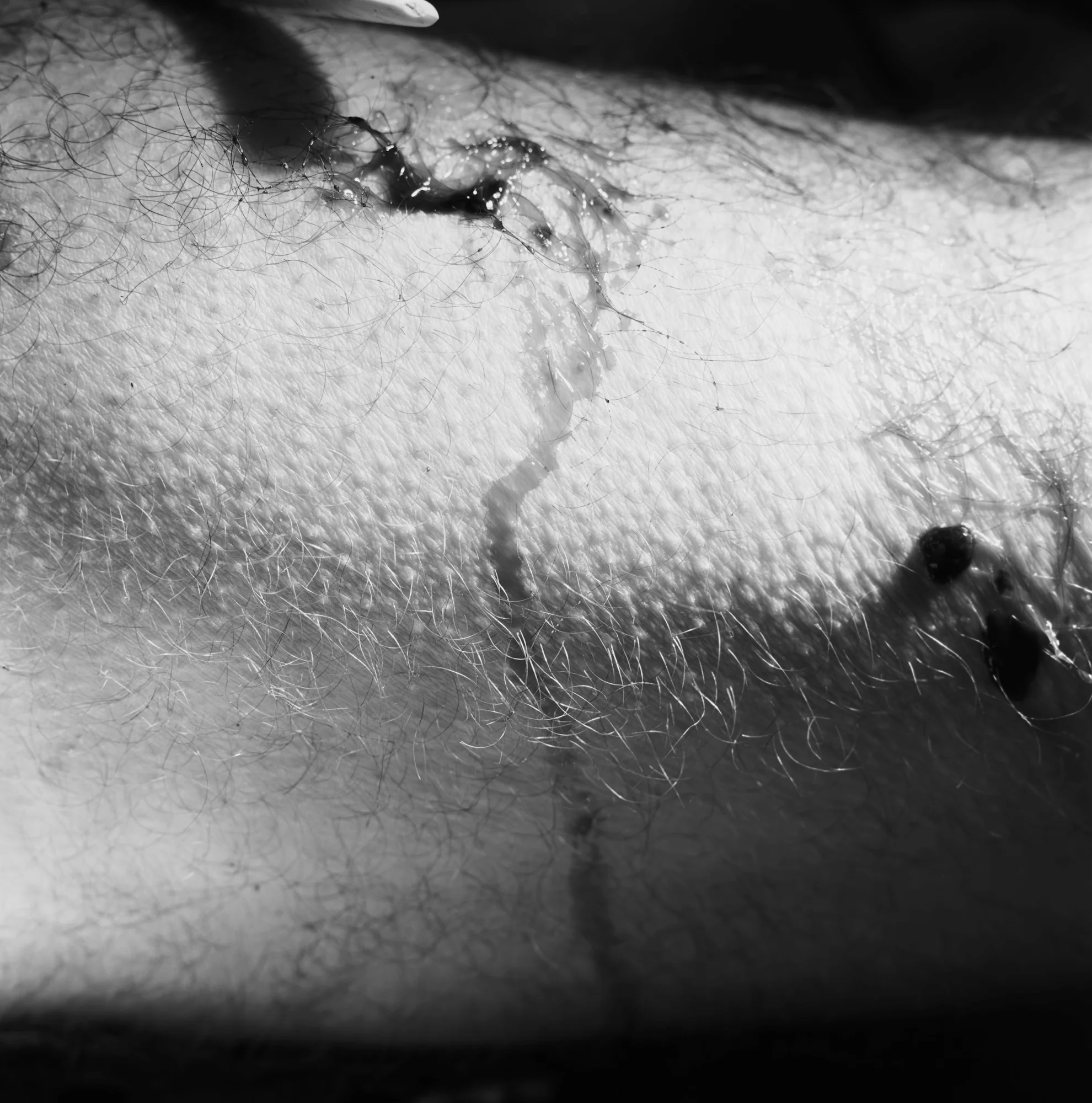 0009_05.jpg