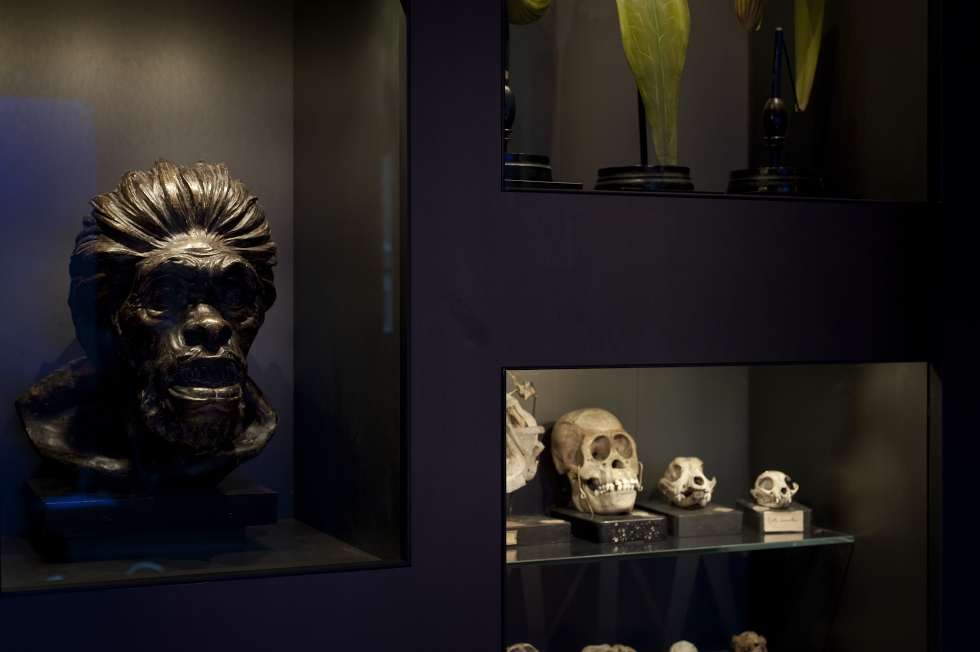 0007_lombroso007.jpg