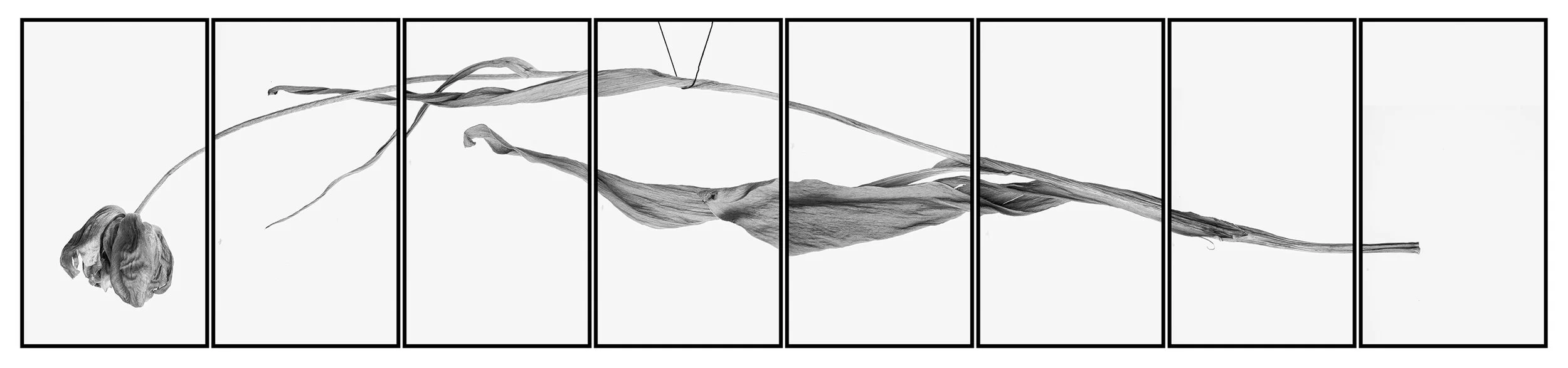 leading black thread008.jpg