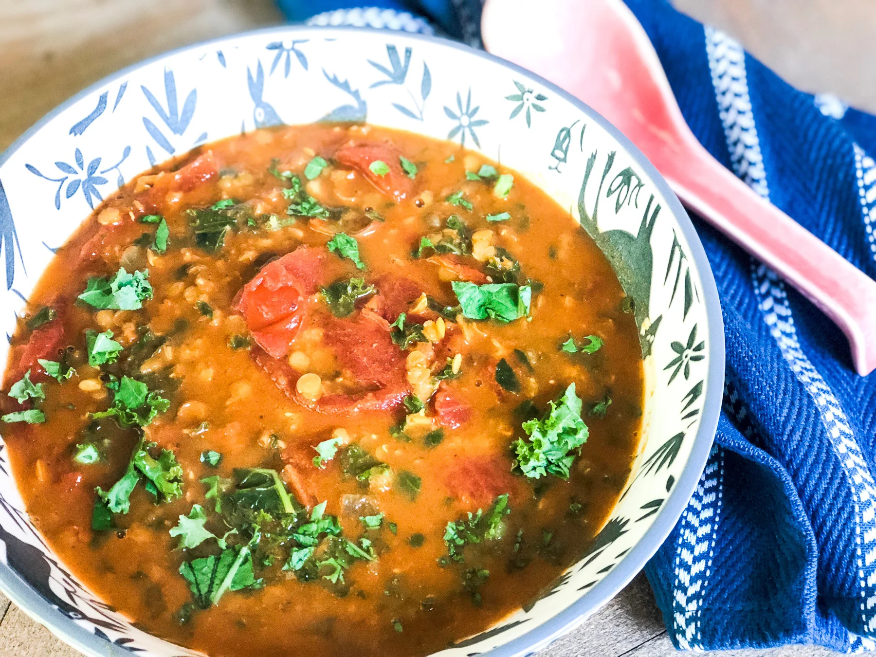 lentil masala soup