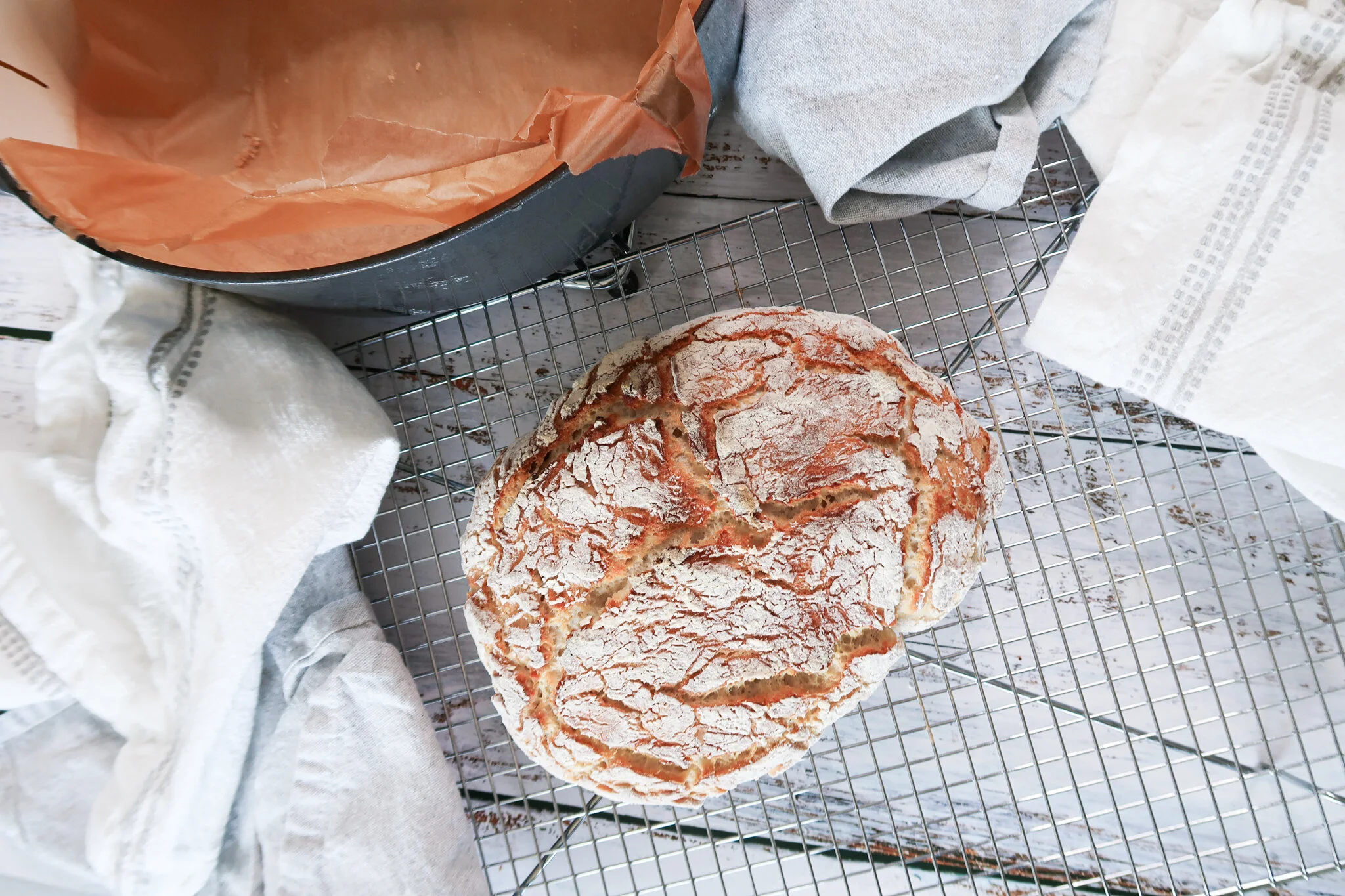 no knead bread and pizza dough