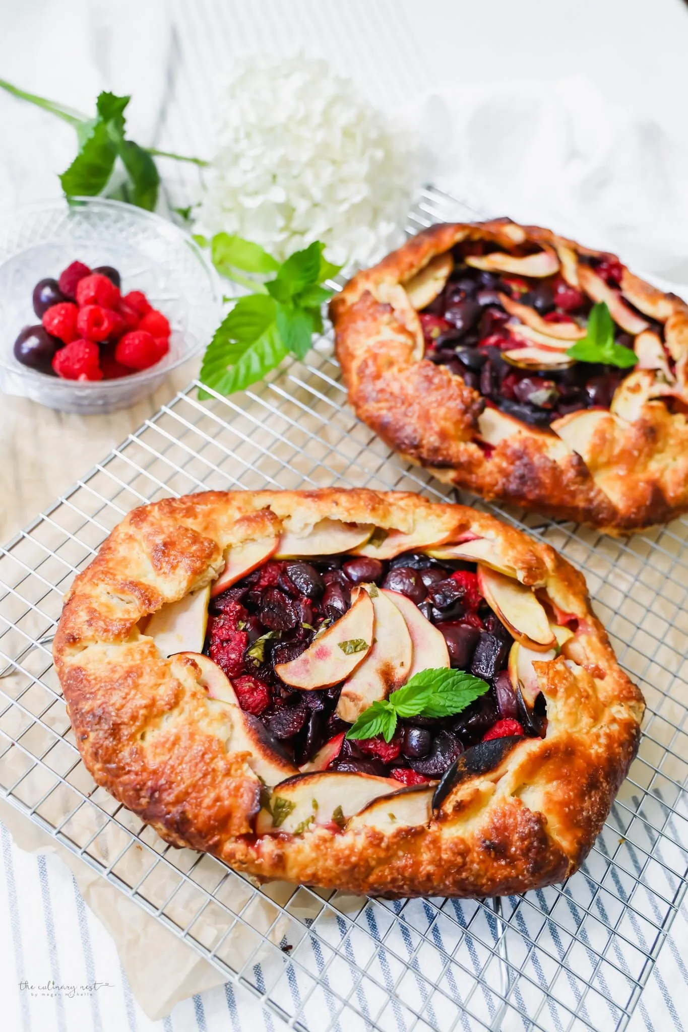 Whole Galettes close up 45˚.jpg