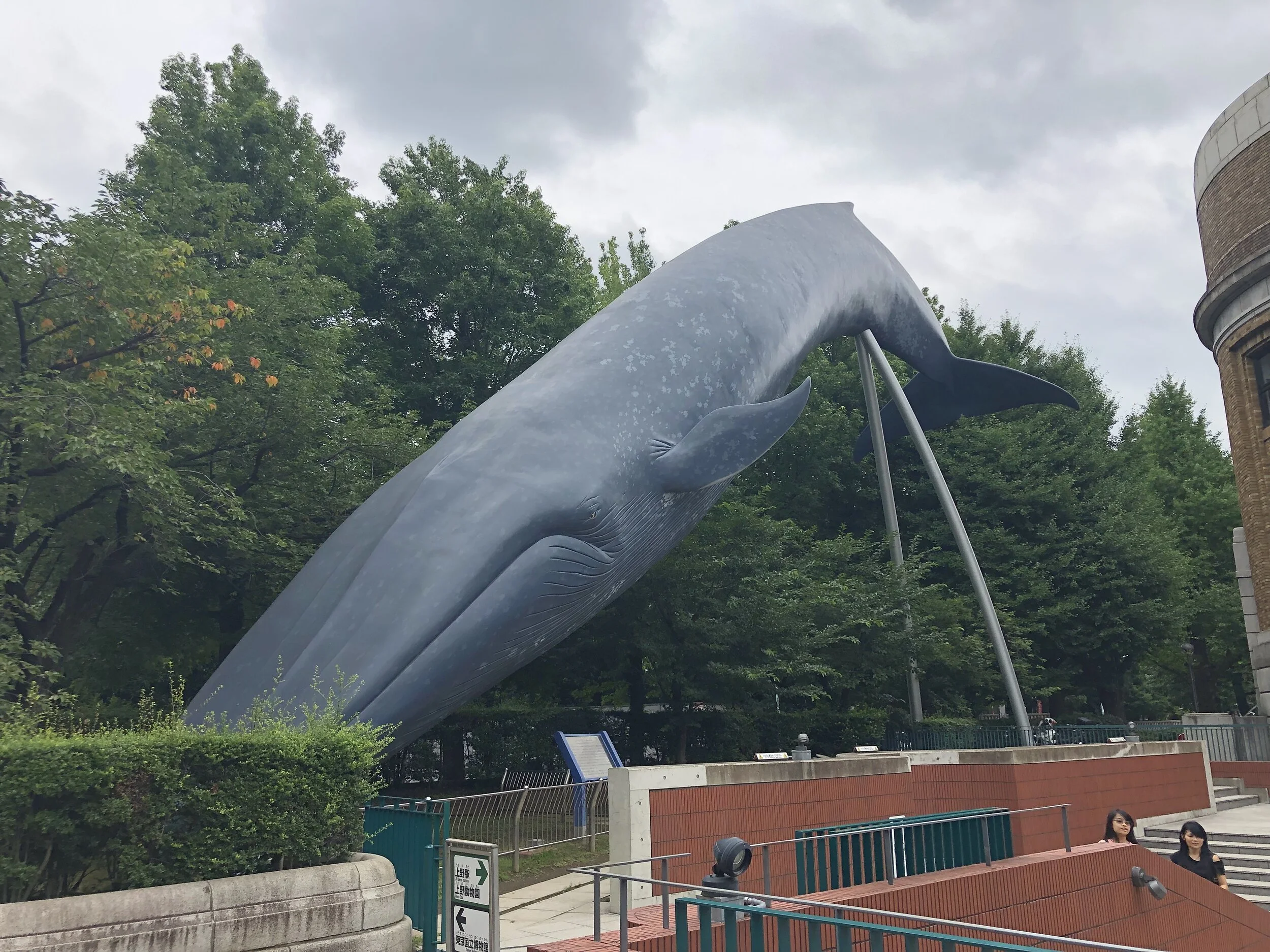And then just as I finished up with the stunning sculptures that I came across I ran into literally a whale. Seeing a whale after having visited the Tokyo muesume was quite the odd thing.