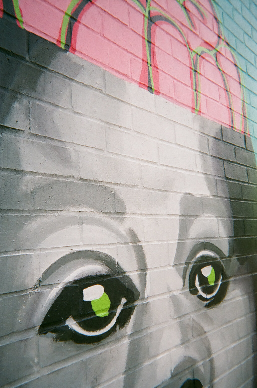 Library_Mural_Disposable-3.jpg