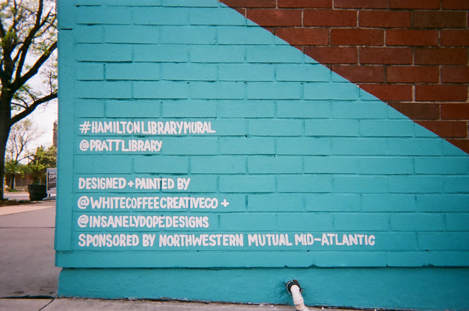 Library_Mural_Disposable-6.jpg