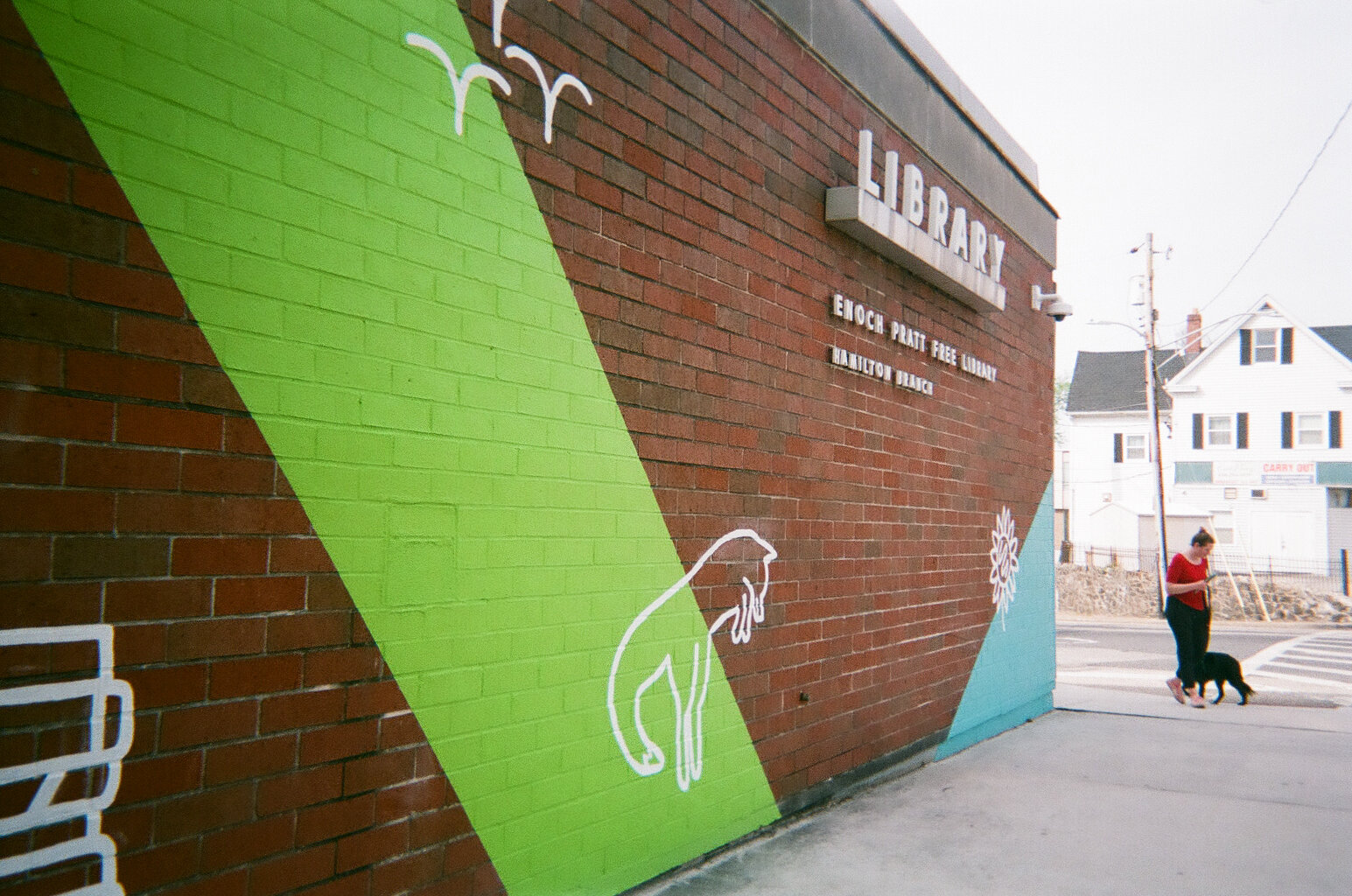 Library_Mural_Disposable-20.jpg