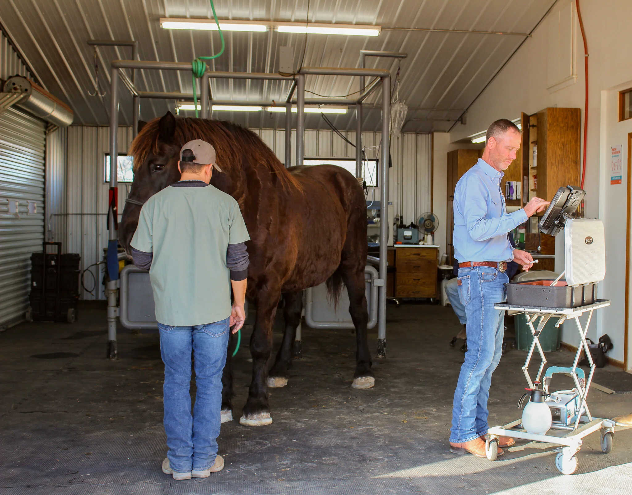 Fredericksburg Equine
