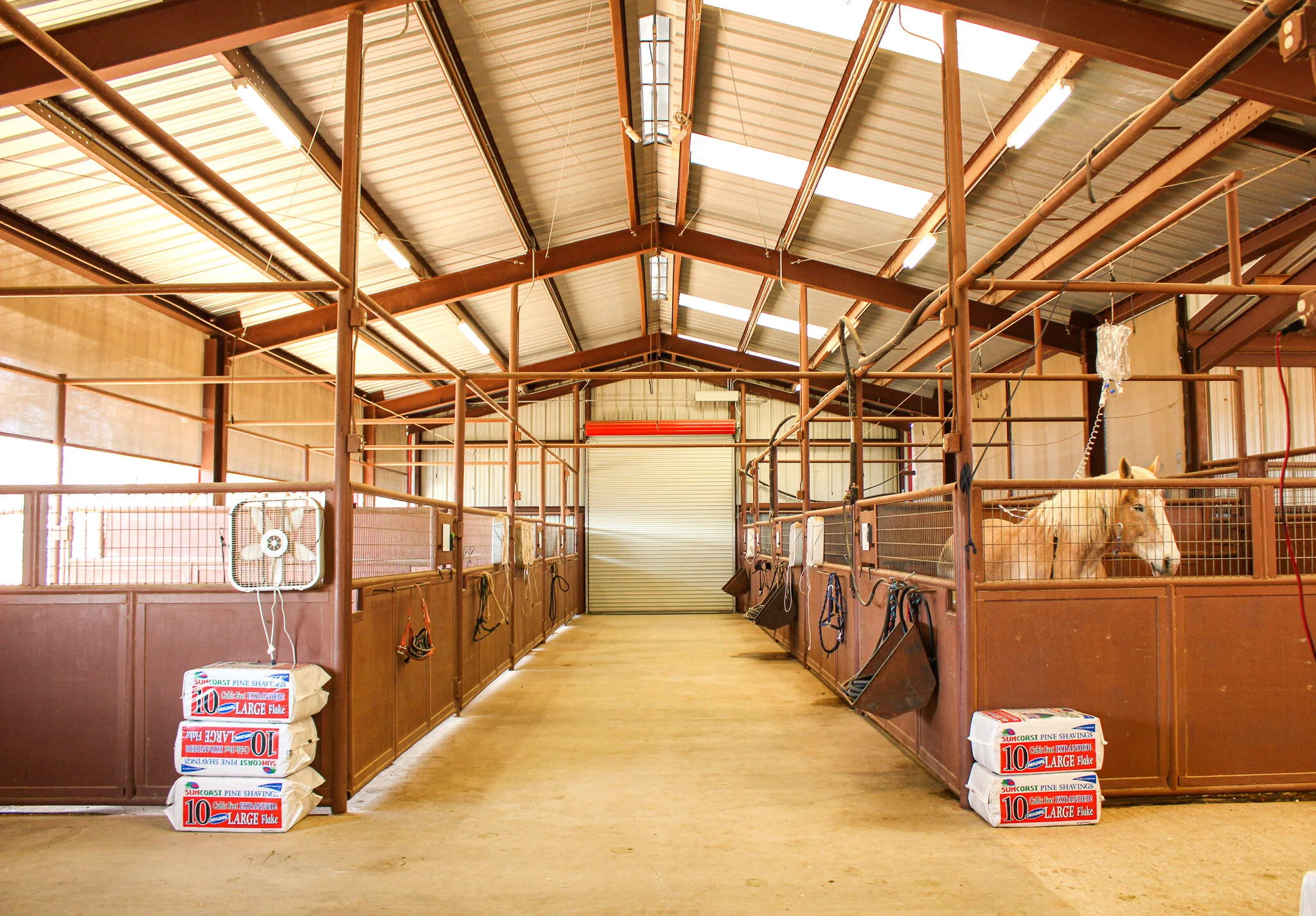 Fredericksburg Equine