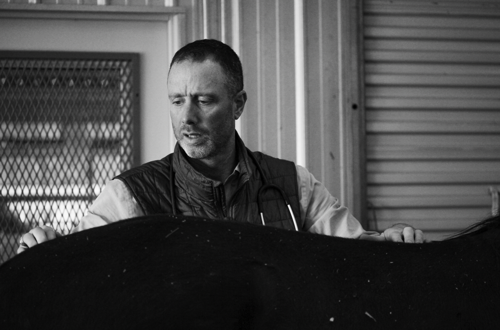 Fredericksburg Equine