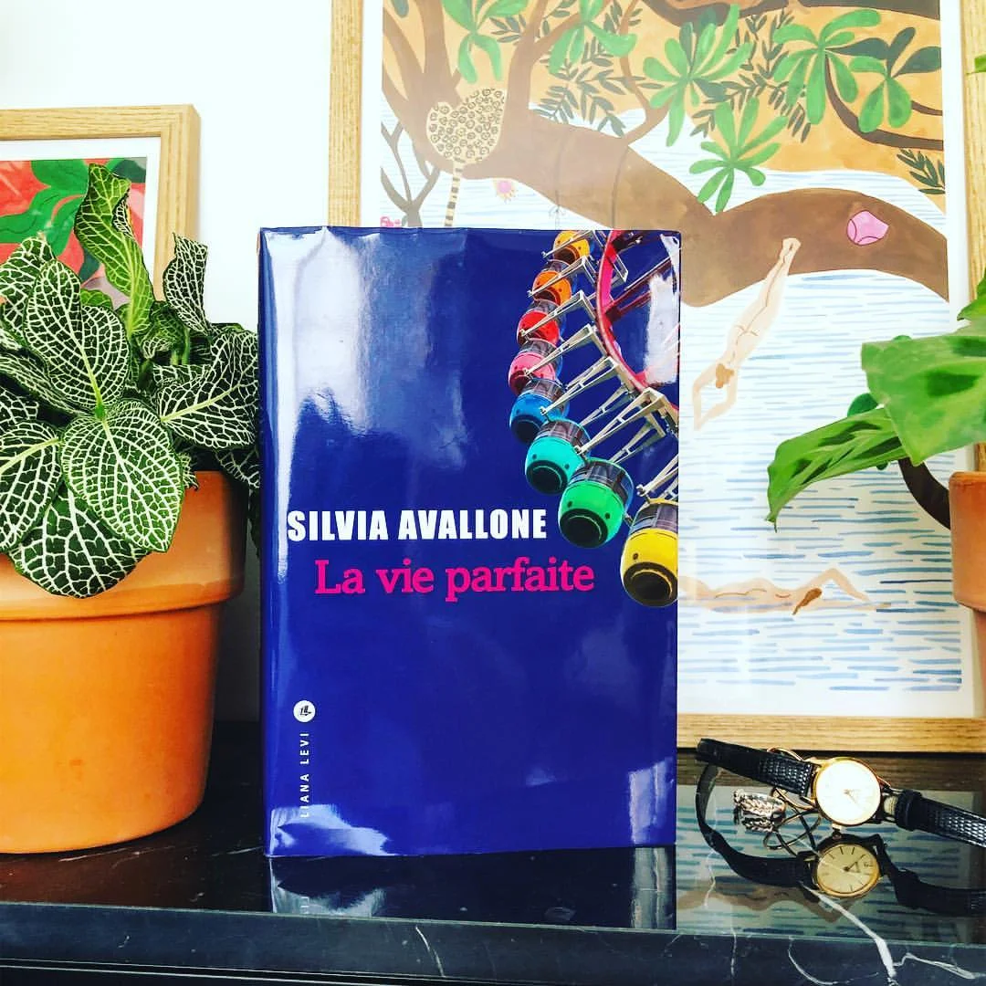 la_vie_parfaite.jpg