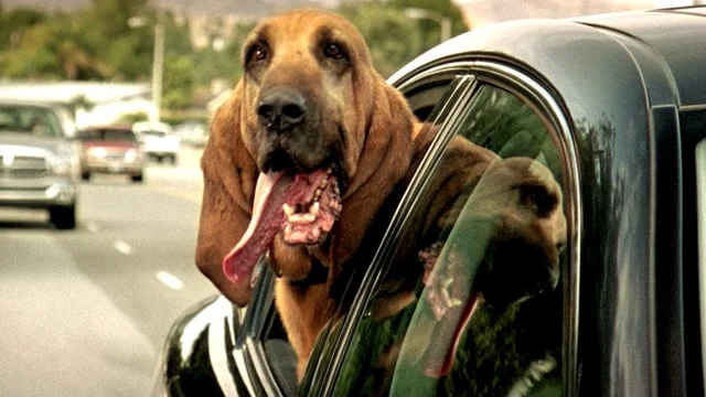 Vicks DayQuil - Adventure Man