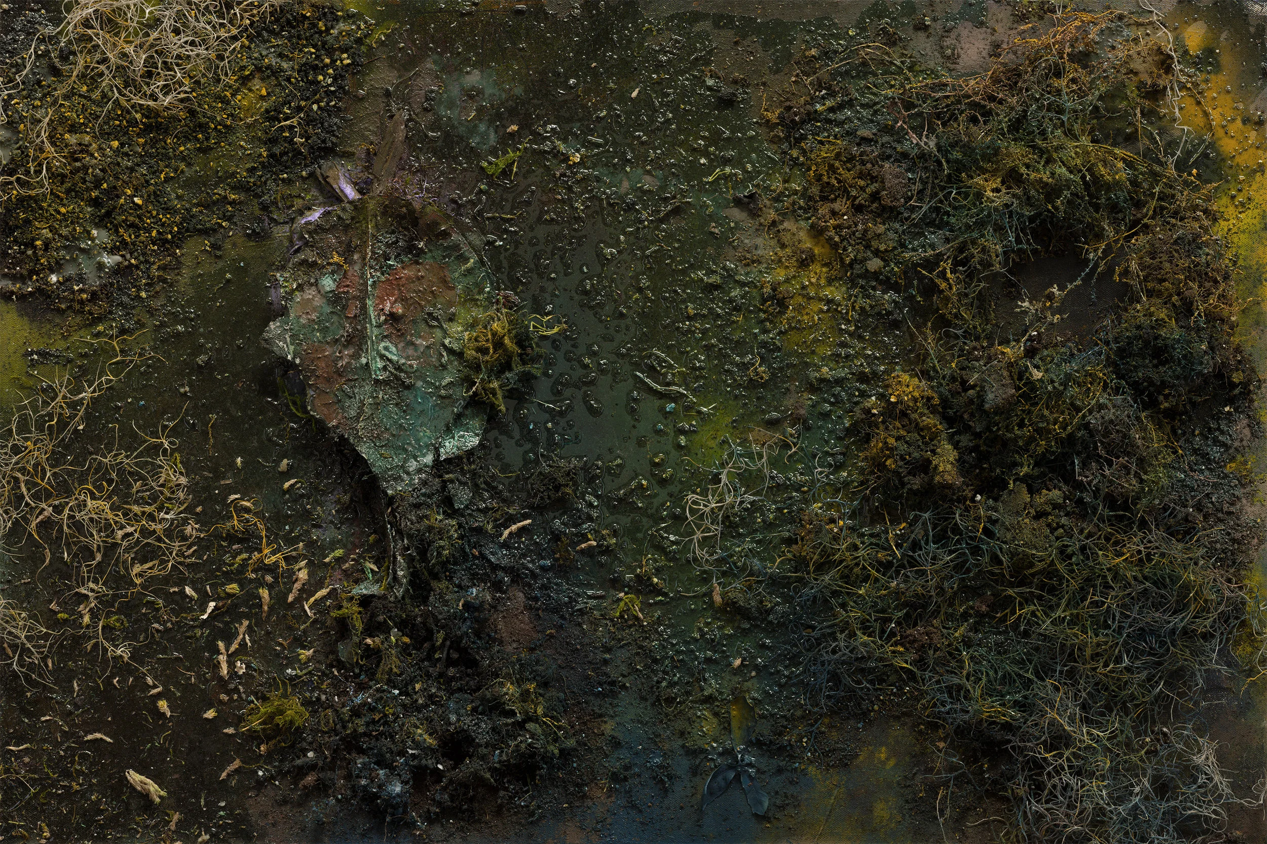 Untitled 1_MEDIUM.jpg