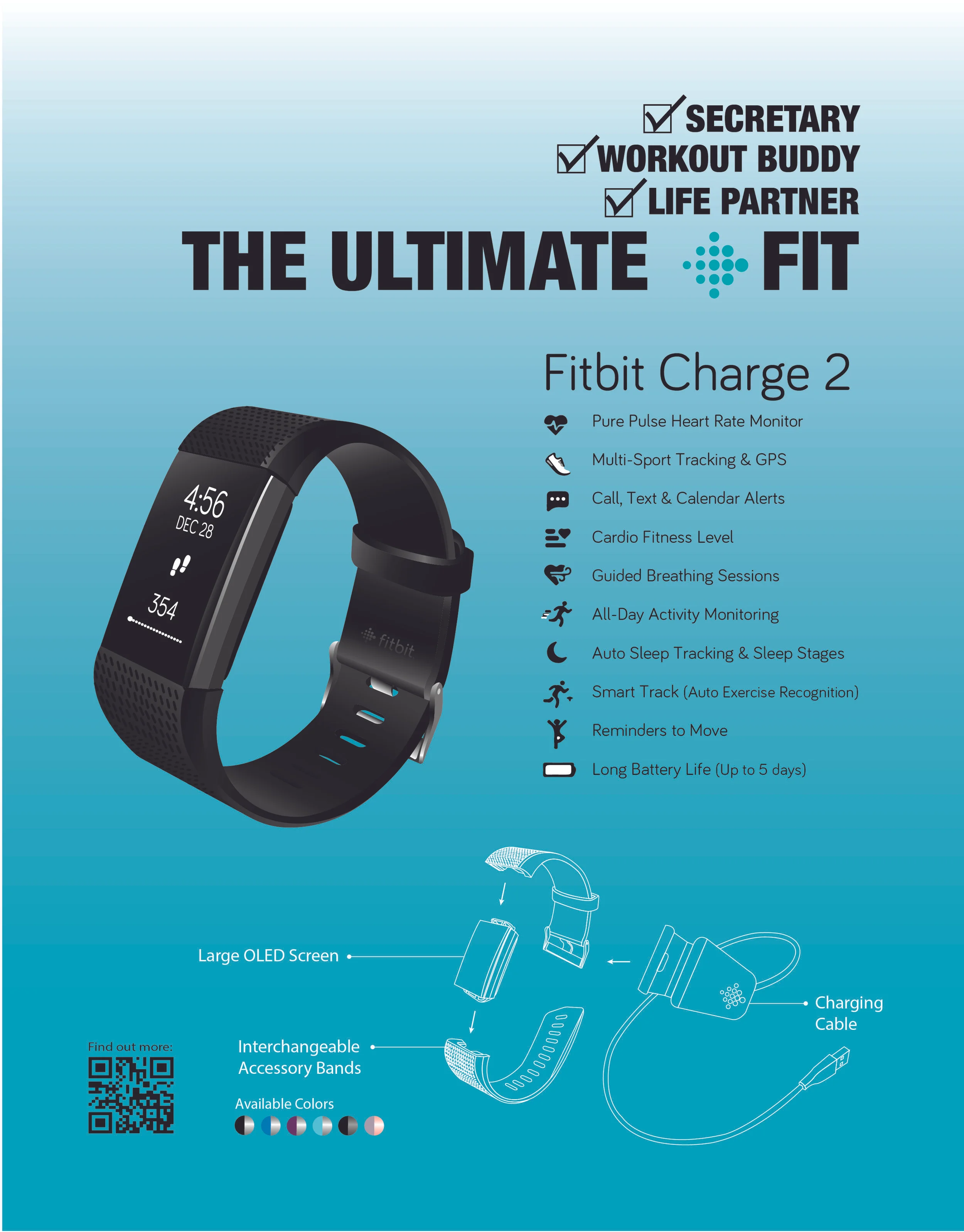 Fitbit Flyer-01.jpg