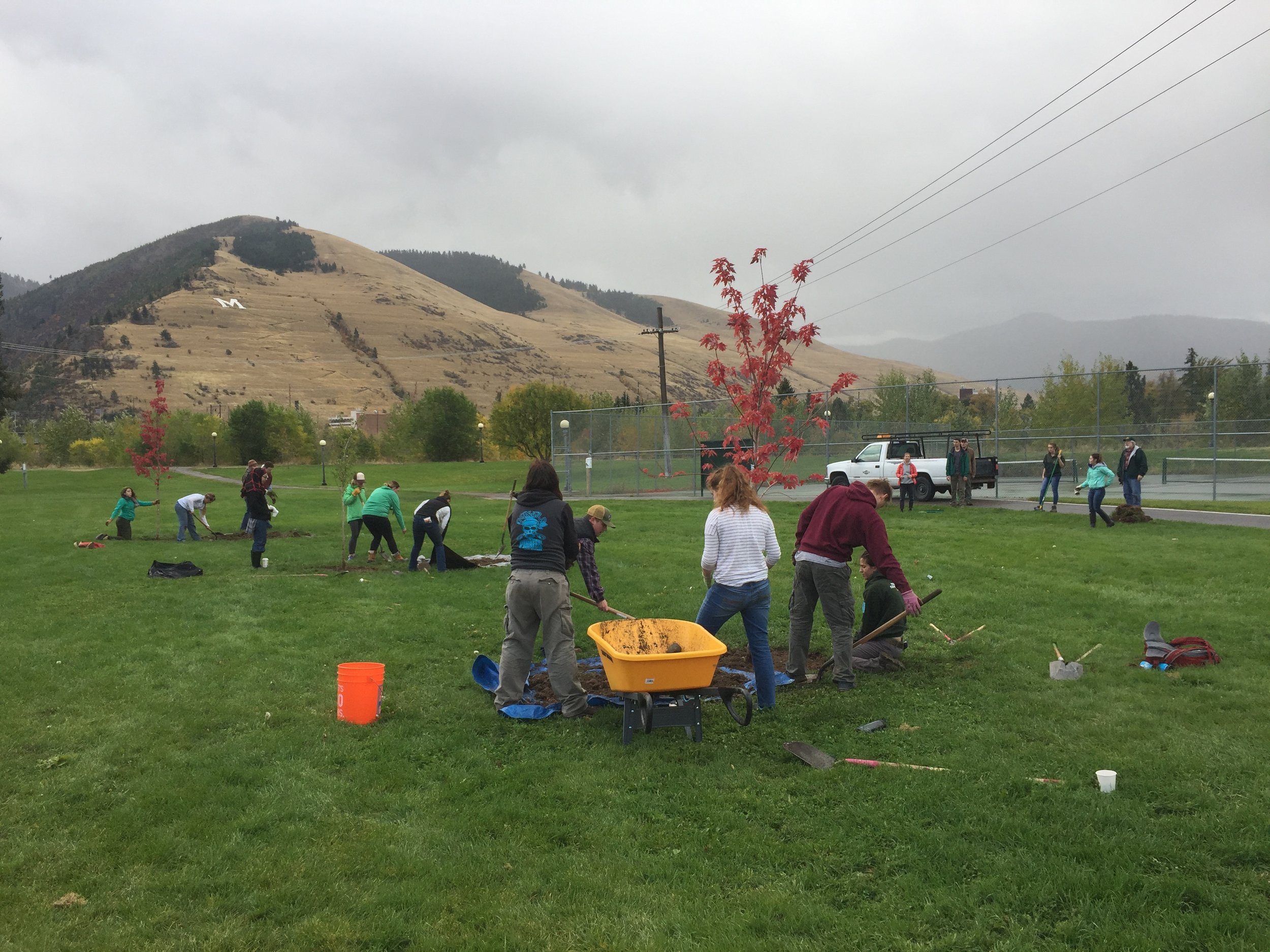 2017GBKiwanisParkPlanting-10.jpg