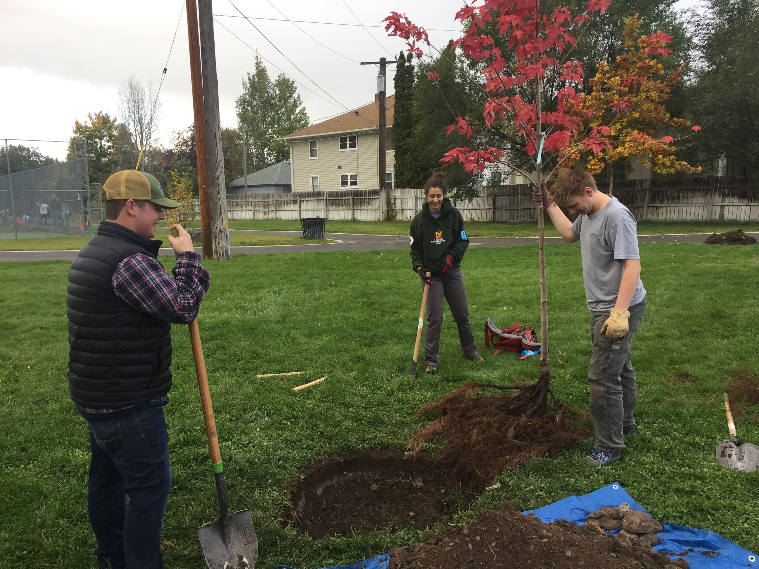 2017GBKiwanisParkPlanting-5.jpg