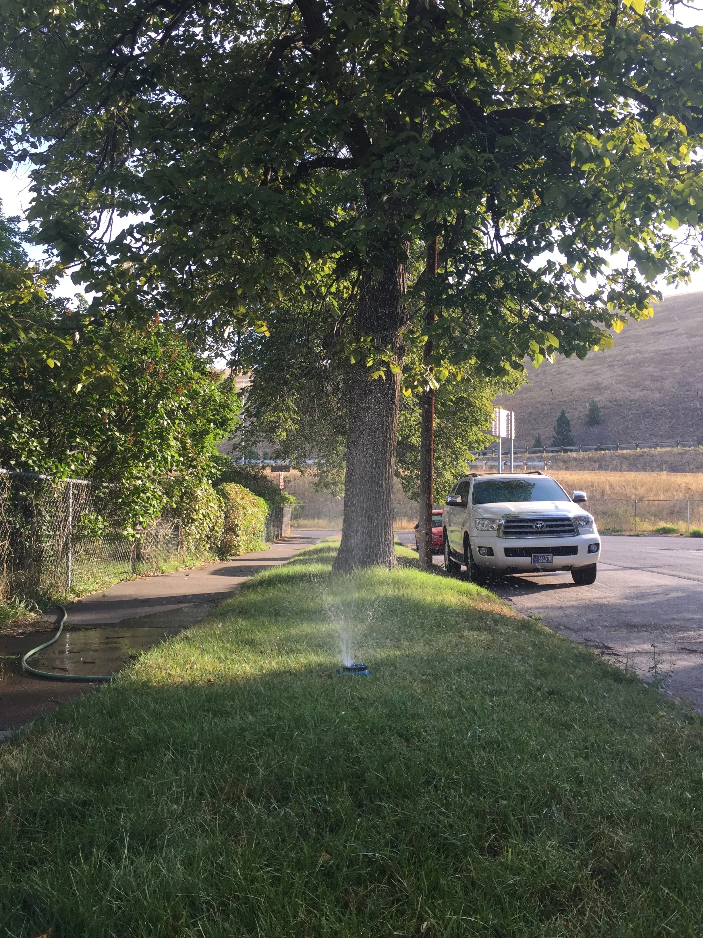 Sprinkler blvd copy.jpg