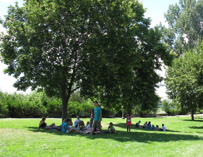 Monthly Tree Reminders: July
