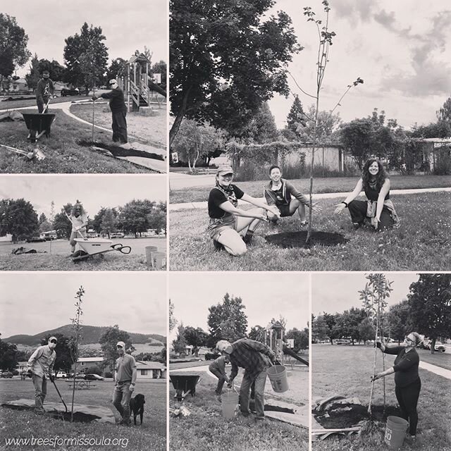 We planted trees today!

Thank you Marie, Ron, Brian, Scott, Mary, Rob, Mike, Zane, Maggie, Anni &amp; Kenzie!

#treesformissoula #urbanforest #missoulaparksandrec #trees #treesofinstagram #volunteer #missoula #montana #timefortrees #planttrees