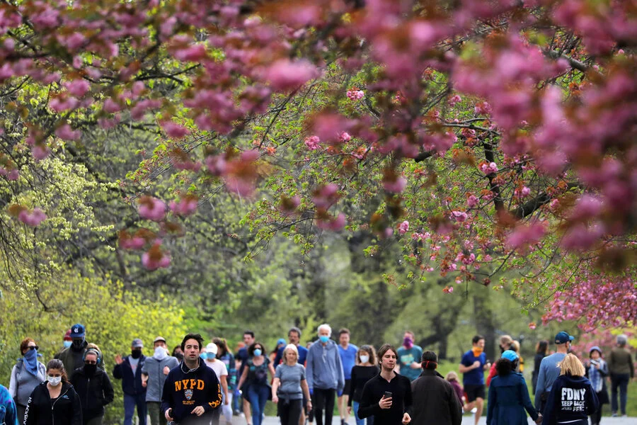 It takes a city to protect trees