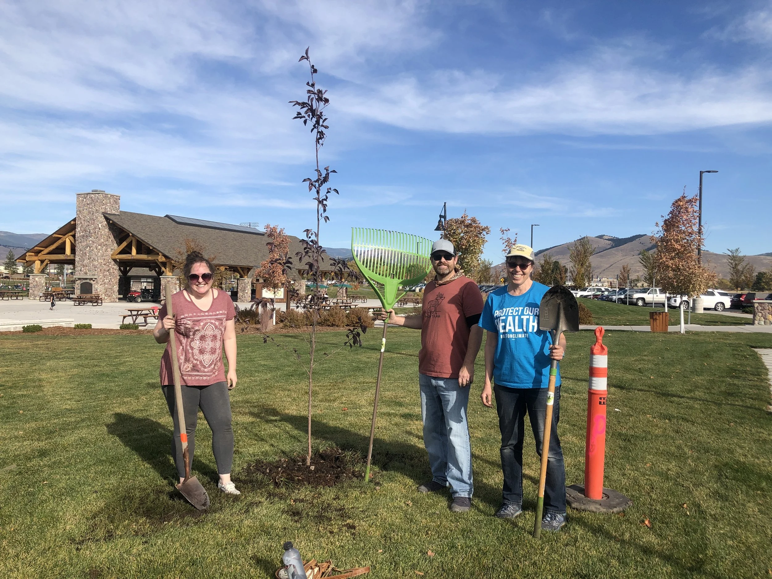 Volunteer Tree Planting