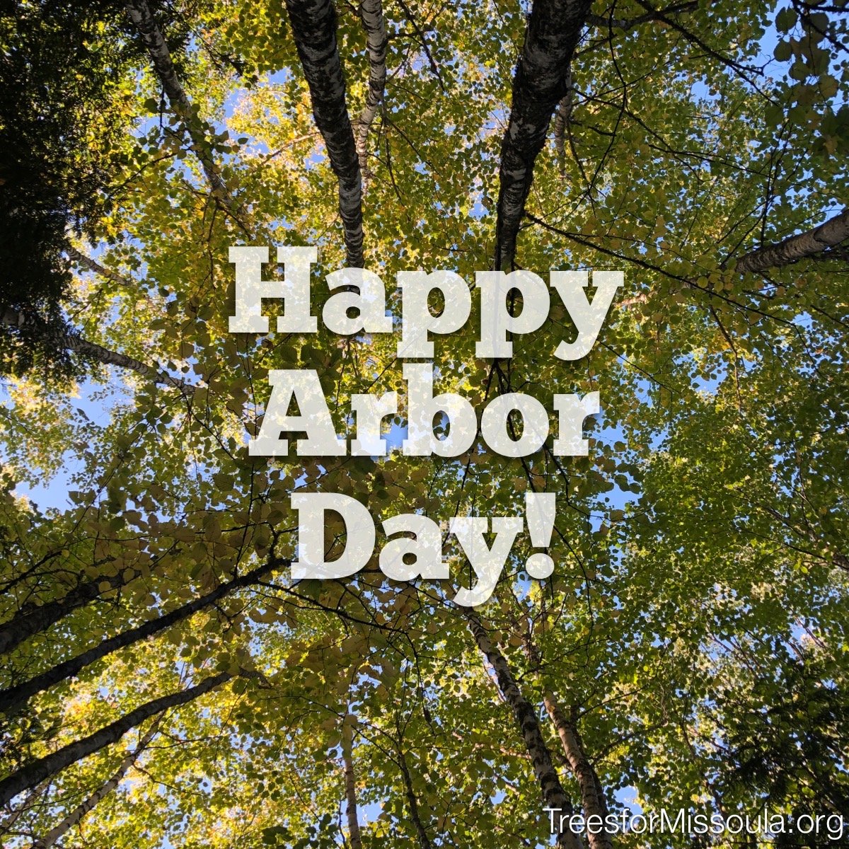 Arbor Day at the State of Montana Arboretum