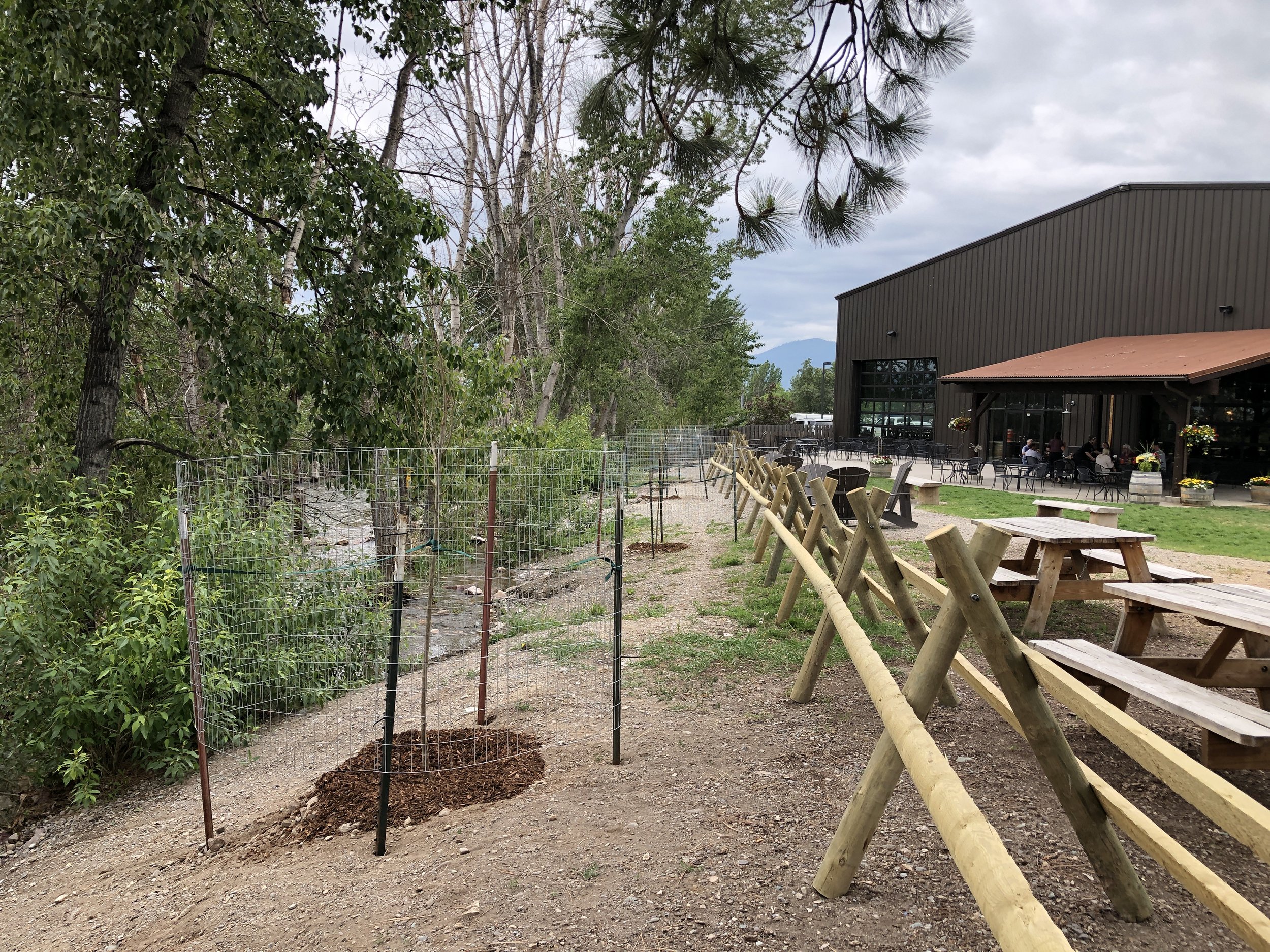 Volunteer Tree and Shrub Planting at Highlander Brewery!