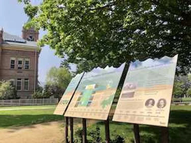 Bird Walk in the Arboretum