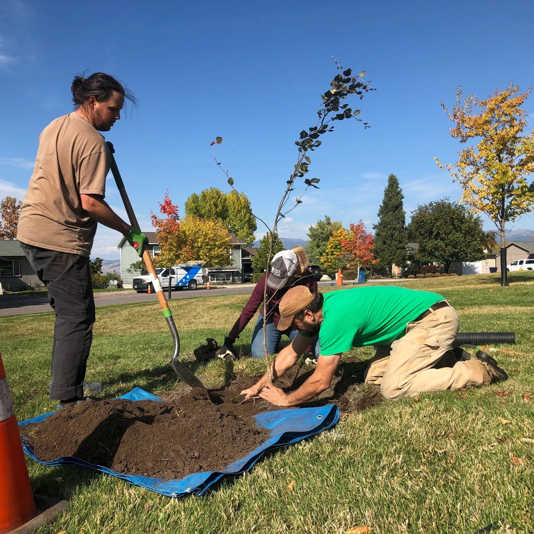 Volunteer Tree Planting