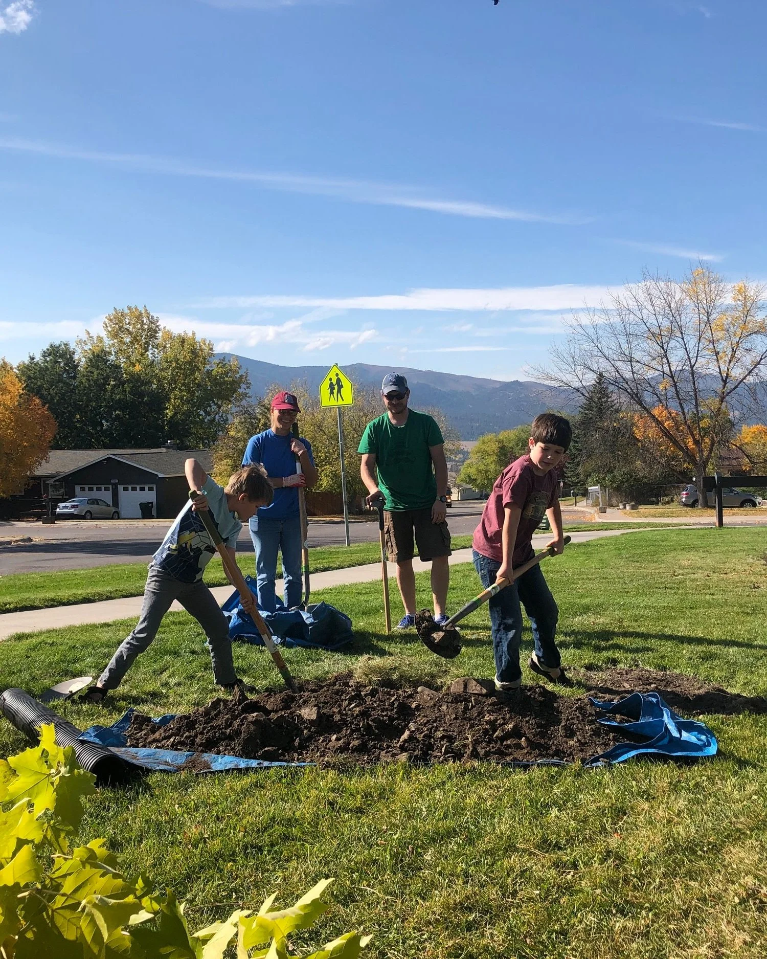 Volunteer Tree Planting