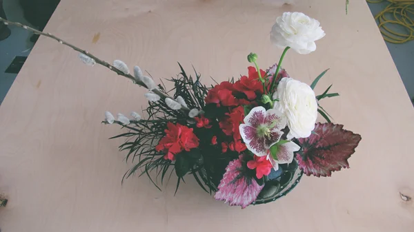 frog-arrangement4.jpg
