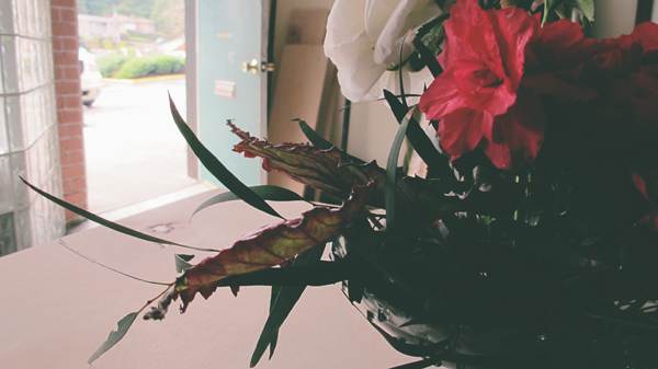 frog-arrangement2.jpg
