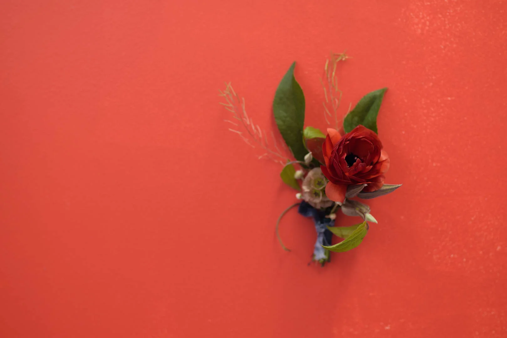 Curious Lola- Slowflowers Demo-33.jpg
