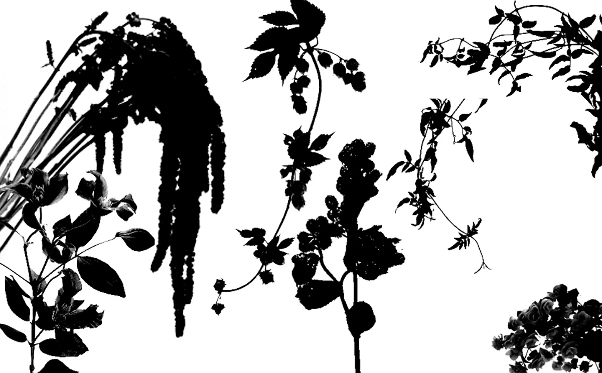 Drapey bits.jpg