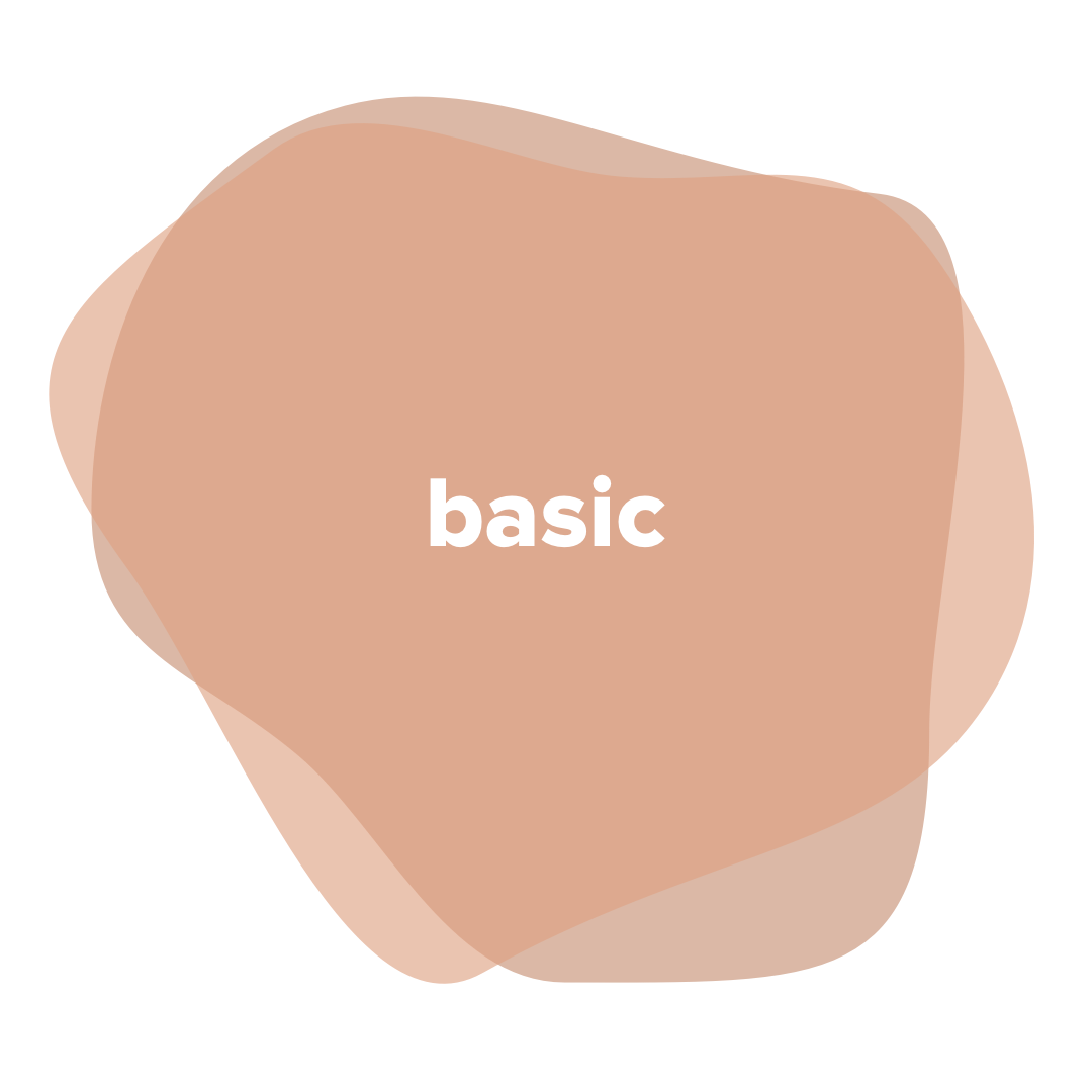 basic.png
