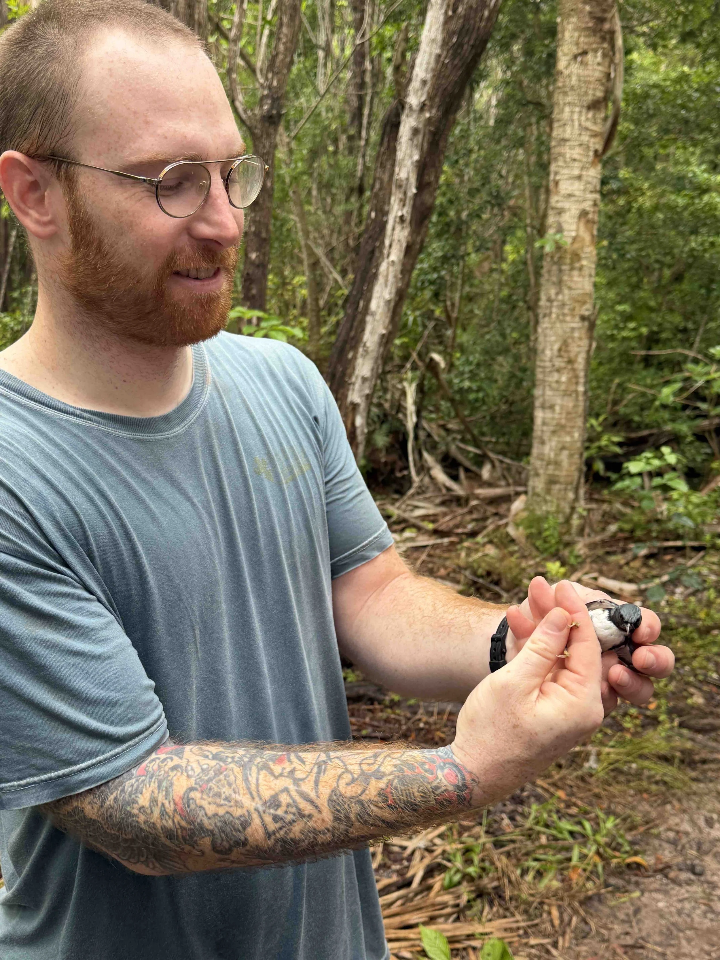  CFBS Volunteer holds a Black-throated Blue Warbler 