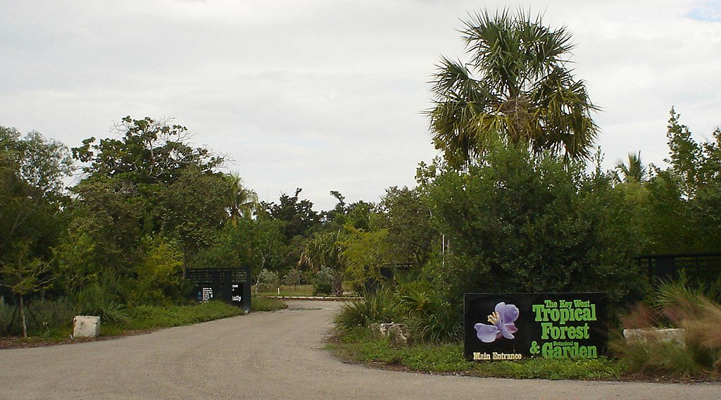 Bird Walk Key West Tropical Forest